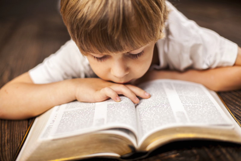 boy studying